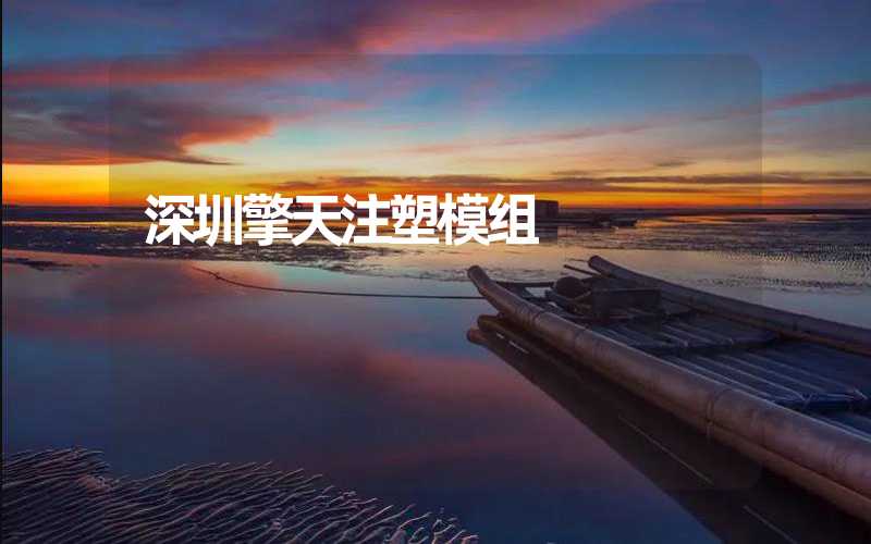 深圳擎天注塑模组 